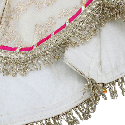 Petal Charm Lace Top with Glimmering Lehenga